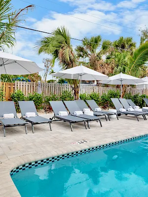 A sunny backyard pool with lounge chairs and white umbrellas, lined by lush palm trees and a “No diving” sign.