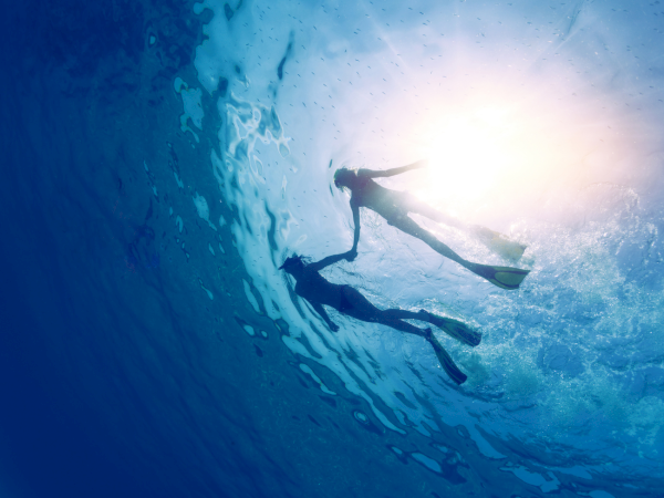 A diver swims underwater in blue water, rising toward bright sun beams as bubbles and particles trail behind.
