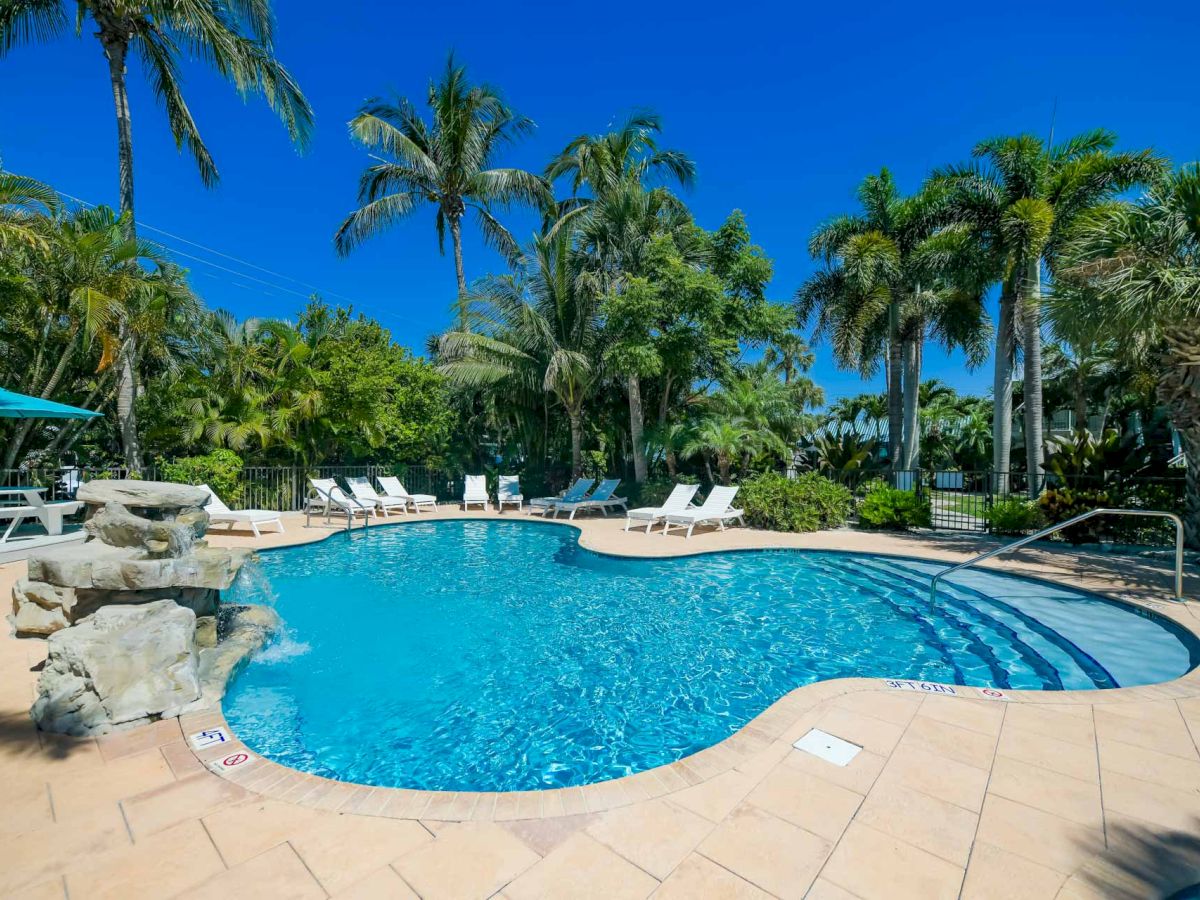 Tropical resort pool with blue water, lounge chairs, rocks and lush palm trees under a bright clear sky.